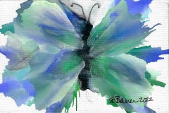 ai74 Blue-Butterfly 4x6 Canvas Panel $25, Note Card $4