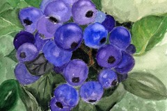 Blueberries-88sml