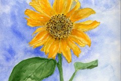 Sunflower-Lucy-94sml