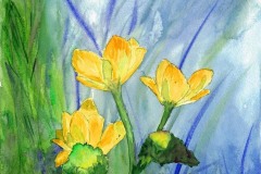 Yellow Flowers  #36