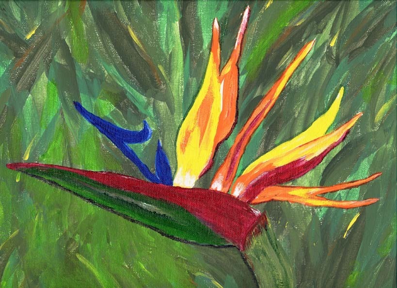 Bird of Paradise