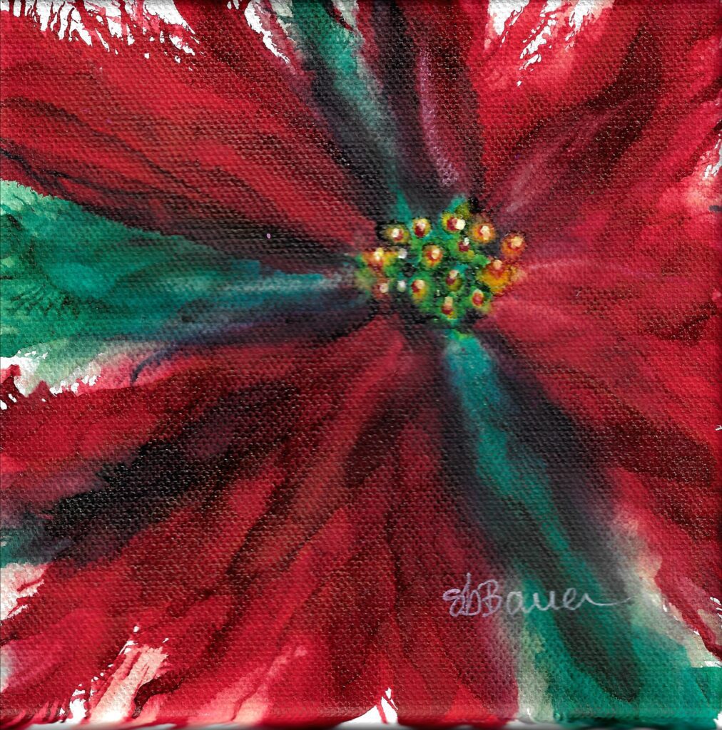 Striking Poinsettia